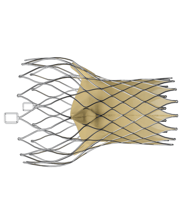 2.7.2_Cardiology_Structural-Heart-Applications
